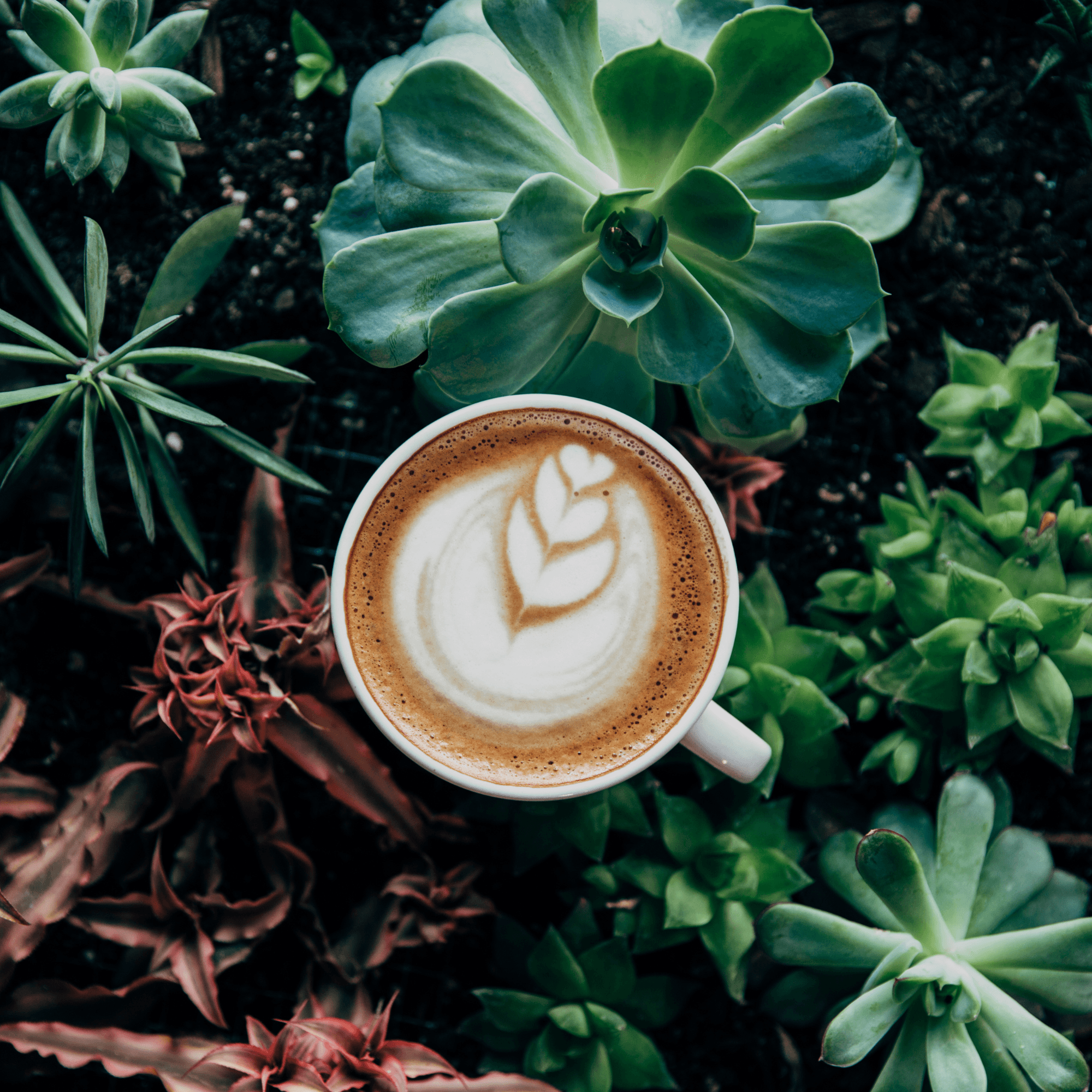 Coffee and Health: Myth vs. Reality