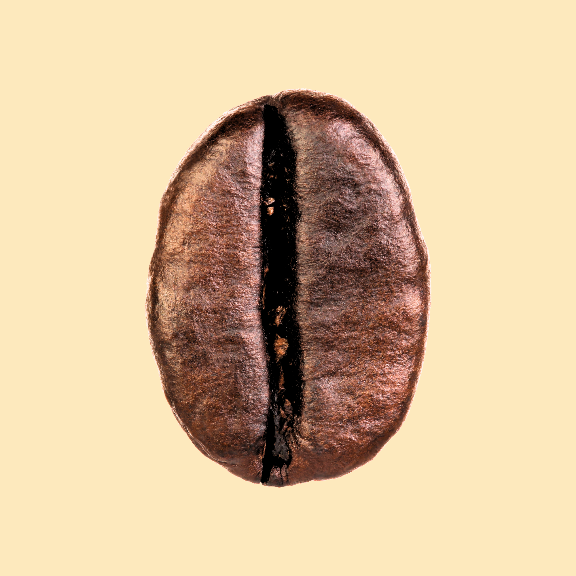 https://gaiacoffee.com/cdn/shop/files/GAIA_coffee_medium_-dark_roast.png?v=1697142125